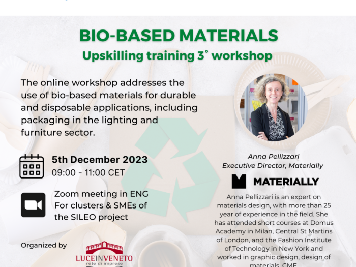 SILEO Upskilling training programme_3° workshop