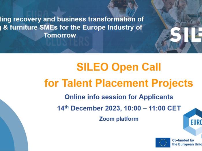 SILEO_Call Talent Placement Projects_info session 14.12.2023