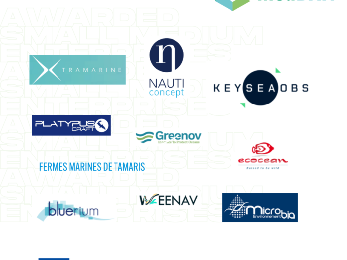 SMEs France