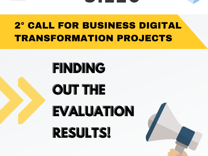 SILEO 2Call Business - Final Results VIDEO