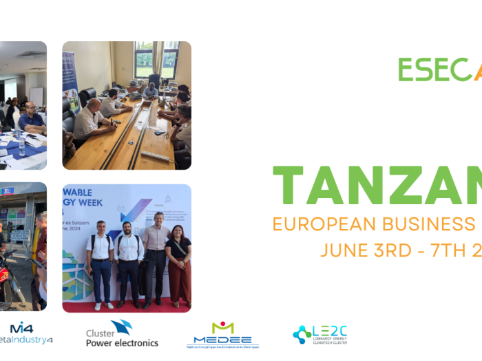 ECCP - article  retour tanzanie