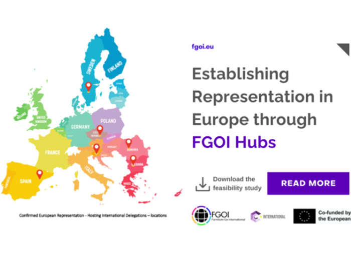 Establishing-Representation-in-Europe-through-FGOI-Hubs-1-768x432