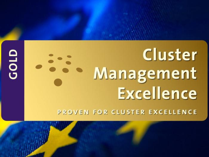 CEEC Renews Gold Label Accreditation for Excellence in Cluster Management at the European Level