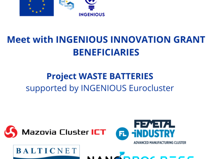 WASTE BATTERIES