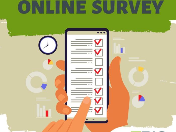 ONLINE SURVEY