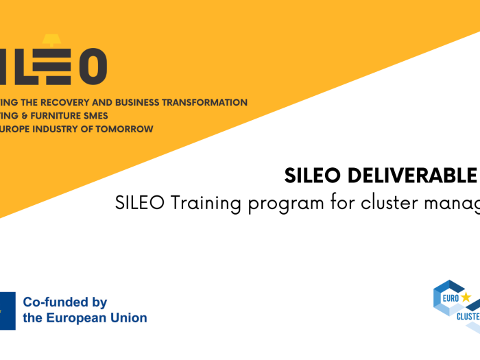 SILEO PUBLIC DELIVERABLE (2)