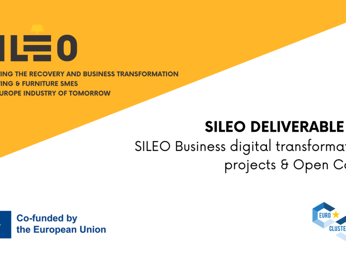 SILEO PUBLIC DELIVERABLE
