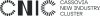 CNIC-hor-EN_6