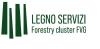 LSlogo_cattura (2)