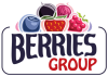 cropped-logo