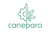 logo_51